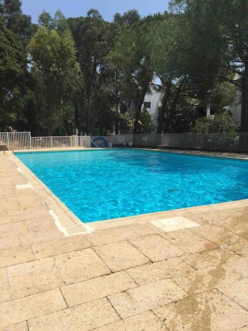 Le Dyonisos Et Piscine Apartment La Seyne-sur-Mer Ngoại thất bức ảnh